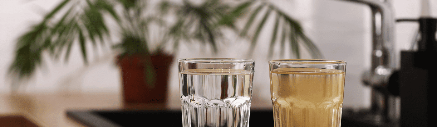 Découvrez nos innovations, conseils et tendances sur les fontaines à eau
